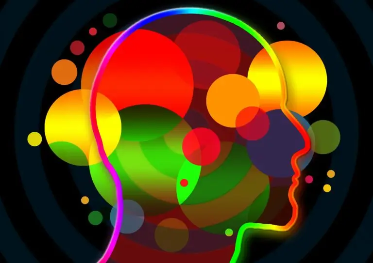 colorful illustration of human head symbolizing elements of the mind